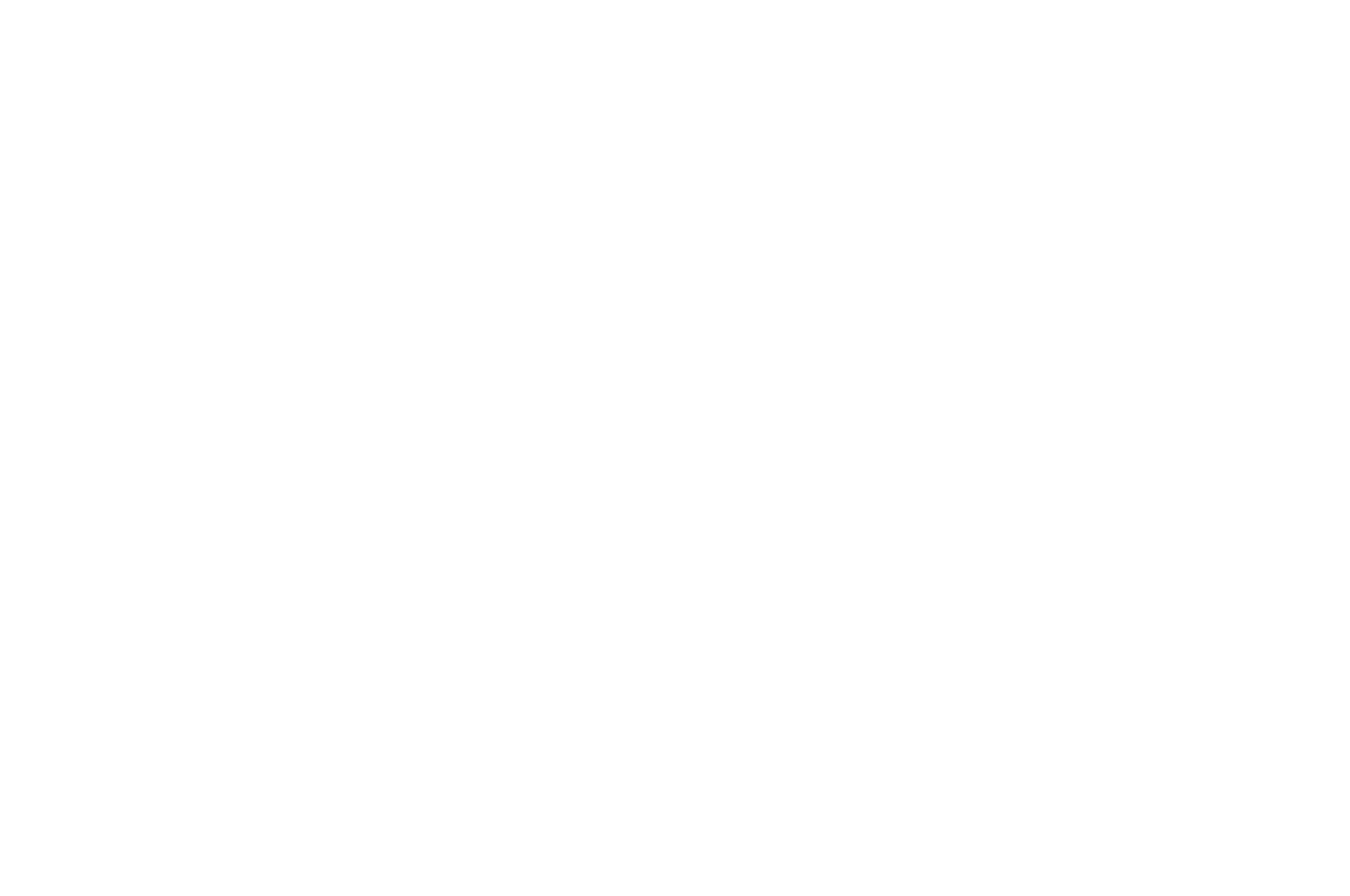 Official Selection — LA Film & Documentary Award 2024